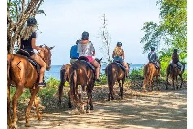 Private Transport and Airport Transfer in Montego Bay - Private Montego Bay Airport Transfer: What You’re Really Paying For