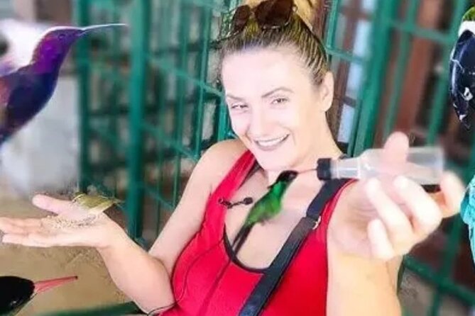 Private Transport and Airport Transfer in Montego Bay - Flexible Photo Stops and Souvenir Quick Hits