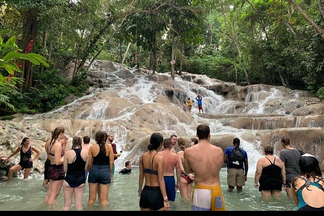 Private Transportation from Montego Bay to Mystic Mountain and Dunn's River Fall - Key Things to Know Before You Go