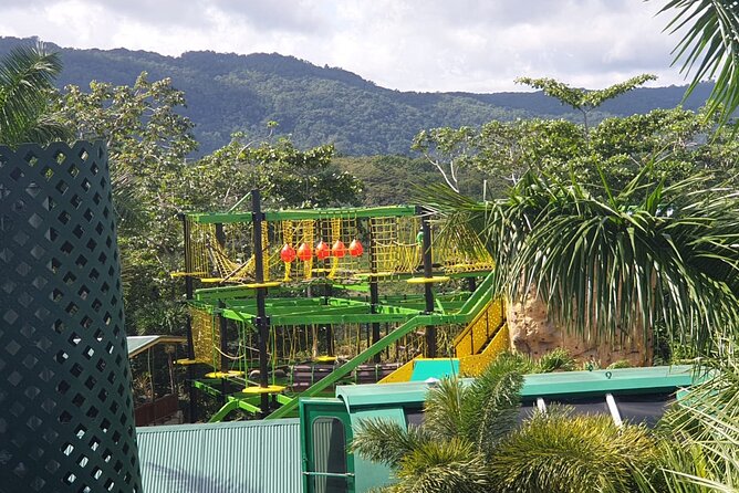 Private Transportation from Montego Bay to Mystic Mountain and Dunn's River Fall - Two Big Jamaica Nature Stops, One Easy Transfer