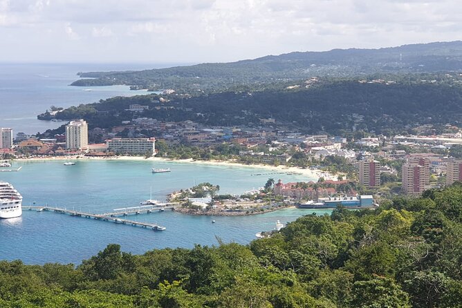 Private Transportation from Montego Bay to Mystic Mountain and Dunn's River Fall - Your Driver’s Role: Safety Notes and Jamaica Storytelling