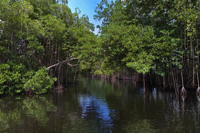 [PRIVATE] YS Falls, Black River, Pelican Bar - Entrance & Lunch - Price and Value: Is $347 Per Person Reasonable?