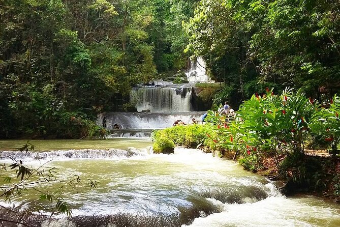 [PRIVATE] YS Falls, Black River, Pelican Bar - Entrance & Lunch - FAQ