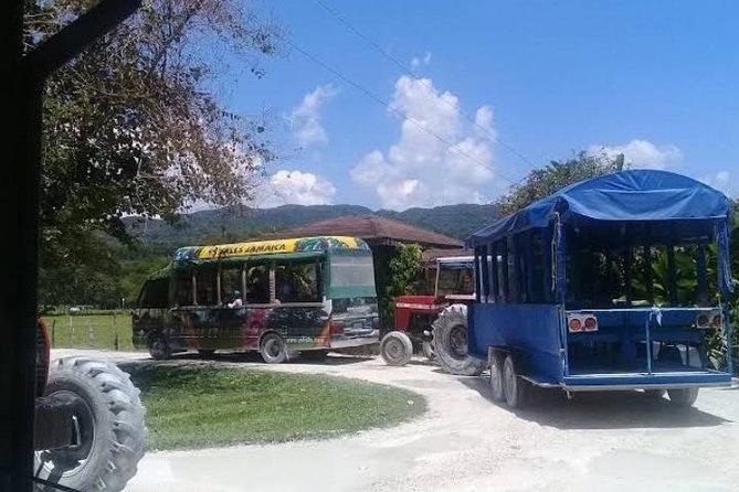 Private YS Falls Tour from Montego Bay - Who should book this YS Falls private tour