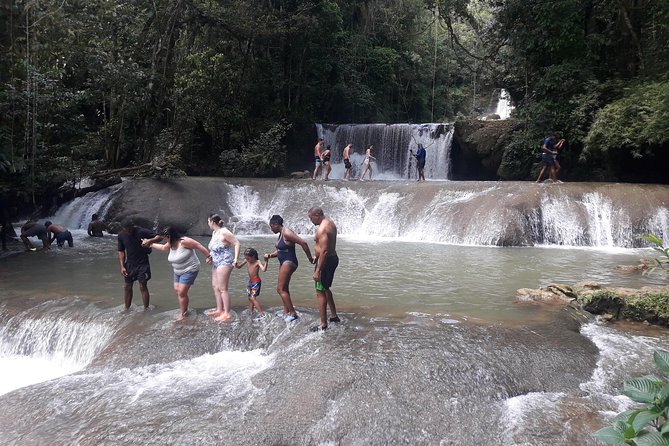 Private YS Falls Tour from Montego Bay - Should you book this private YS Falls tour?