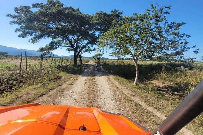 Rasta Safari Atv Experience and Rick's Cafe Private Tour - Blue Hole and Secret Falls: cool water first, then a hike to earn it