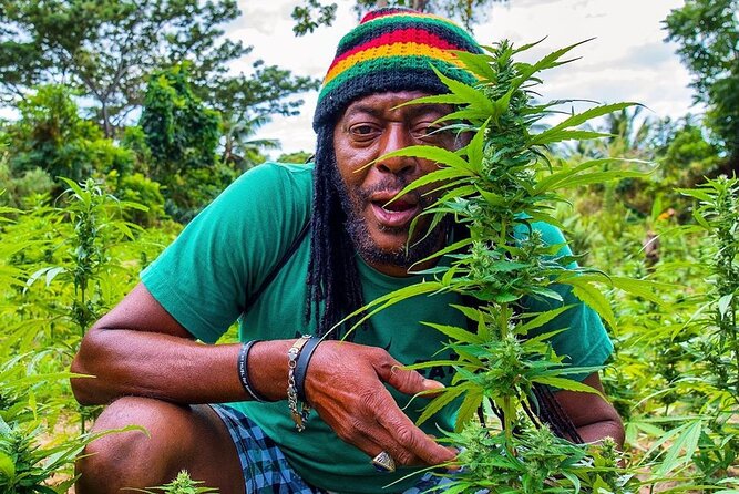 Rastafari Cultural ATV Community Experience from Montego Bay - Key highlights to know before you go