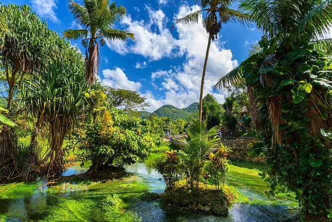 Rastafari Cultural ATV Community Experience from Montego Bay - The natural mineral pool swim stop (and why to plan for it)