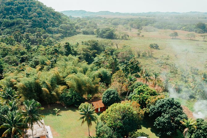 Rastafari Cultural ATV Community Experience from Montego Bay - Ganja field discovery: cultural context, not just a photo stop