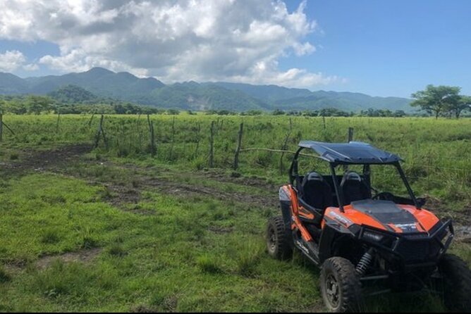 Rastafari Cultural ATV Community Experience from Montego Bay - Fruit tasting off the trees: sweet breaks between farm lessons