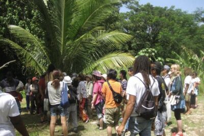 Rastafari Indigenous Village Tour - The 4-Hour Village Visit: Fruit, Juice, and a Calm Pace