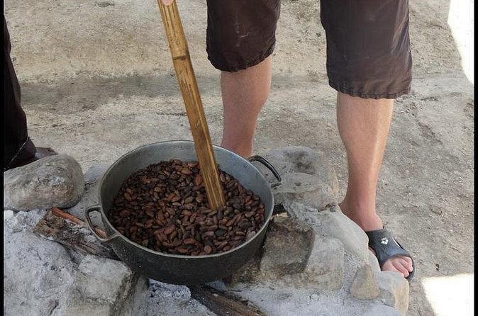 Rastafari Indigenous Village Tour - Herbs, Teachings, and Village Guides: Ask Better Questions