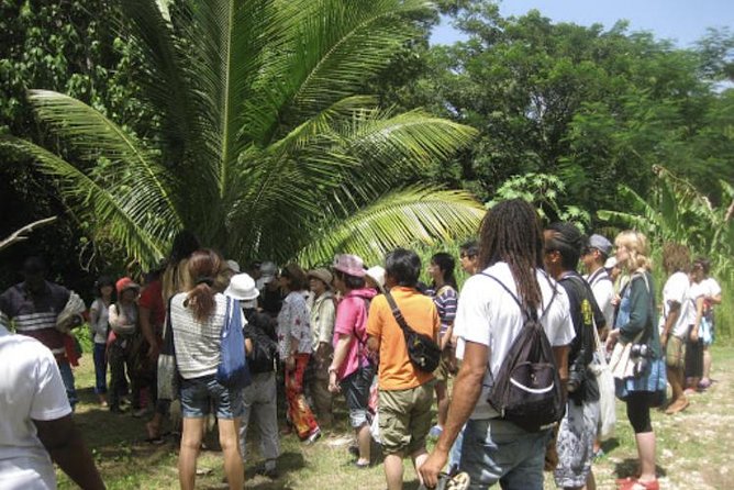 Rastafari Indigenous Village Tour - The 4-Hour Village Visit: Fruit, Juice, and a Calm Pace