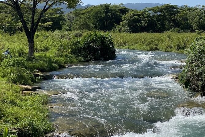 Rastasafari Experience ATV Adventure and Local Day Out - The morning start: pickup, safety vibes, and your first look at Roaring River