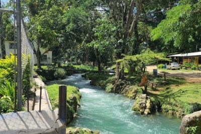 Rastasafari Experience ATV Adventure and Local Day Out - Riding the all-terrain buggy: the fun part with real stops