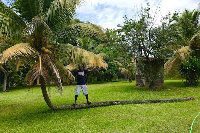 Rastasafari Experience ATV Adventure and Local Day Out - Price and value: is $320 per person worth it?