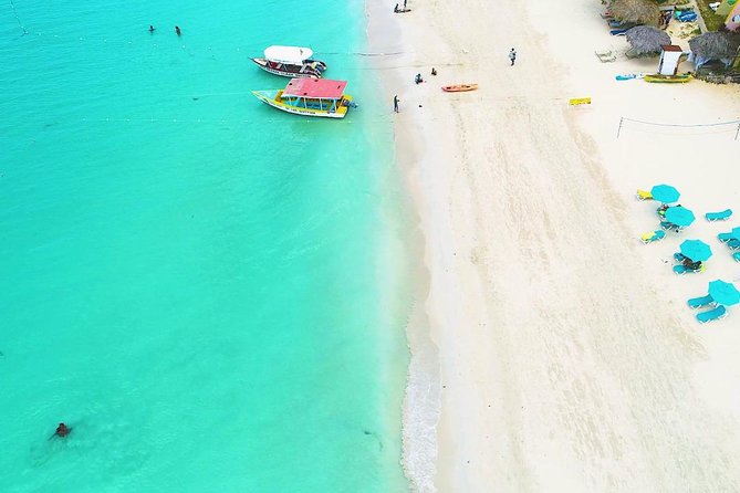 Ricks Cafe & Negril Highlights From Montego Bay - Private Pickup, Air-Conditioned Comfort, and the Driver Storytime