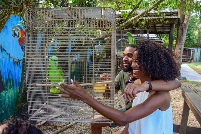 Rockland Bird Sanctuary plus Montego Bay Highlights & Shopping Private Tour - Key takeaways