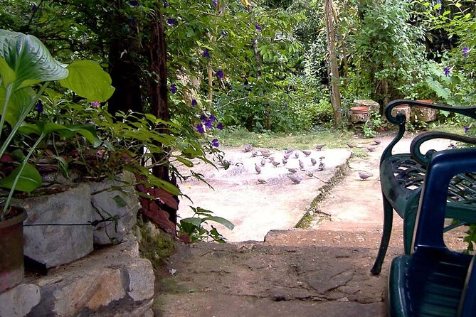 Rockland Bird Sanctuary plus Montego Bay Highlights & Shopping Private Tour - A few practical things to know before you go