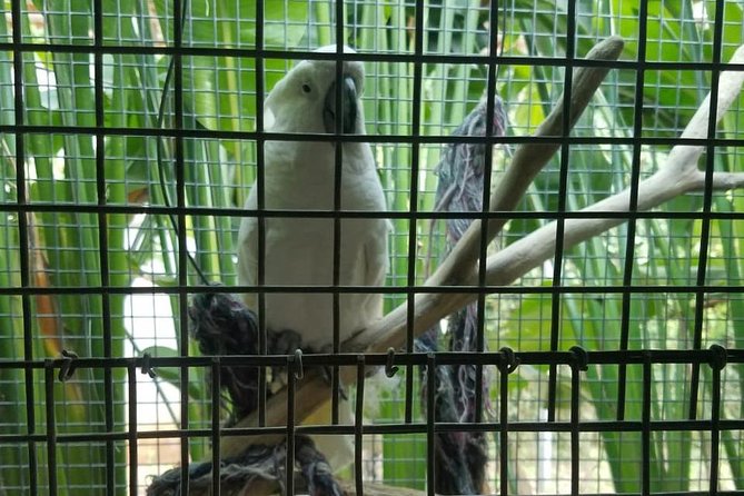 Rockland Bird Sanctuary Private Tour - The real value: guides, patience, and finding birds you might miss