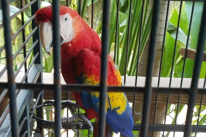 Rockland Bird Sanctuary Private Tour - What the 3 to 4 hours actually feels like on the ground