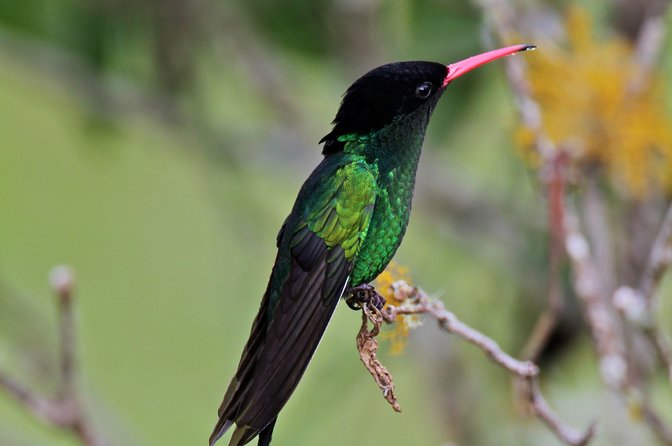 Rockland Bird Sanctuary Private Tour - Price and value: why $97.44 can work (or not) for your travel style