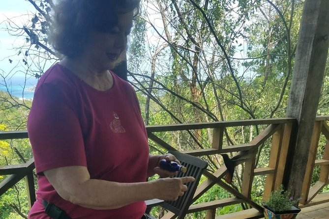 Rockland Bird Sanctuary Private Tour - What to bring (and what to skip) for a smooth bird encounter