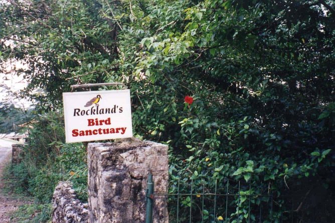 Rockland Bird Sanctuary Private Tour - Rocklands Bird Sanctuary: where resident birds meet visitors from far away