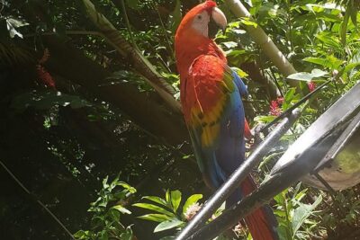 Rockland Bird Sanctuary Tour [Transportation] Hotel Pick-Up - The sanctuary stop: decks, hummingbirds, and a quiet place to watch
