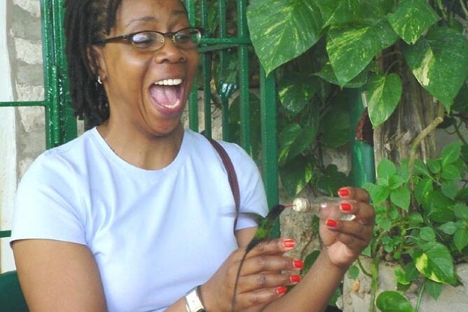 Rocklands Bird Sanctuary & City Highlights plus Shopping from Montego Bay - Rocklands Bird Sanctuary is the Main Event
