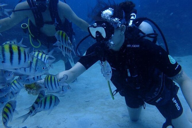 Scuba Diving and shopping on the Hipstrip. - Beach park access: more time than just the water moment