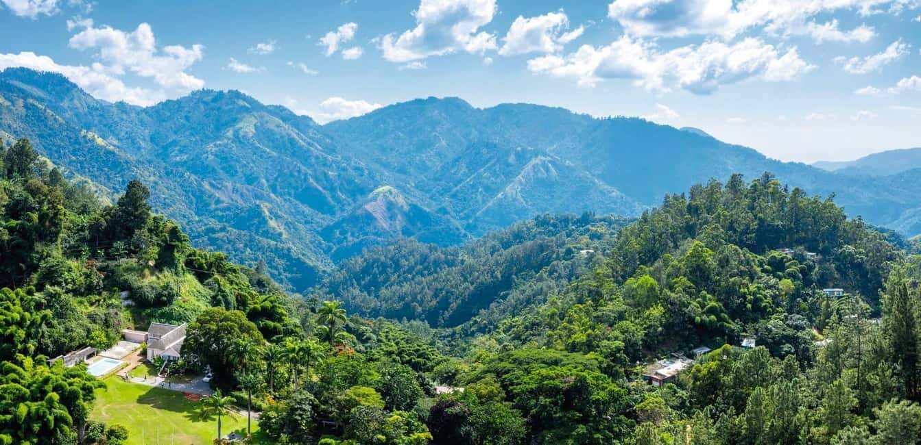 Shared/Private Full Day Blue Mountains Tour -Top Attractions - The Lunch Break: Jamaican Cooking With a Family Feel