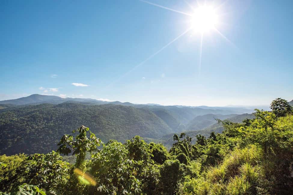 Shared/Private Full Day Blue Mountains Tour -Top Attractions - Should You Book This Blue Mountains and Kingston Tour?