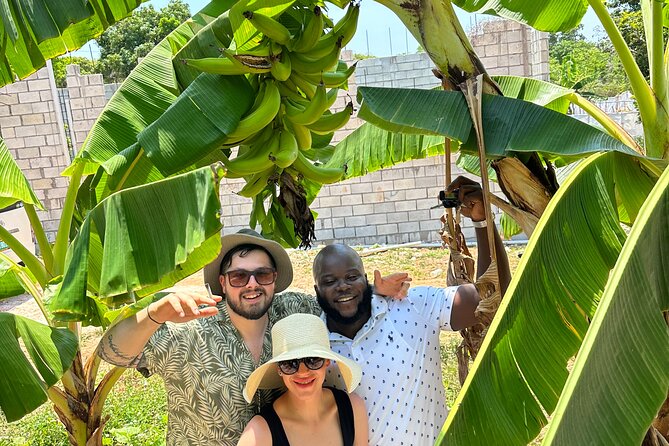 Sightseeing and Shopping Tour in Montego bay - The neighborhoods between stops: regular communities, upscale areas, and real perspective