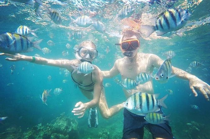 Snorkeling and Shopping in Montego Bay with Hotel pickup - Who this snorkeling and shopping plan fits best