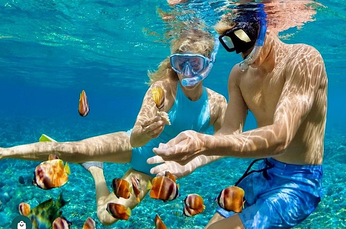 Snorkeling and Shopping in Montego Bay with Hotel pickup - Weather and timing: how to set expectations