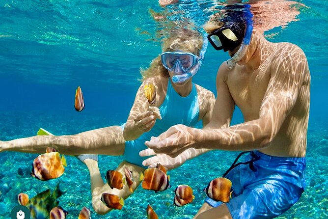 Snorkeling and Shopping in Montego Bay with Hotel pickup - Should you book this Montego Bay snorkeling and Hip Strip tour?