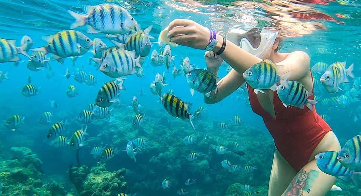Snorkeling in Montego Bay with Transportation - Key things to know before you go