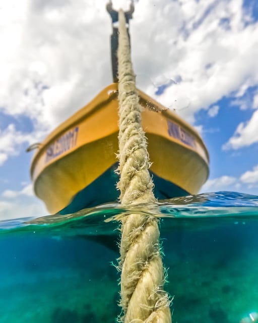 Snorkeling in Montego Bay with Transportation - One logistics red flag to handle before you leave