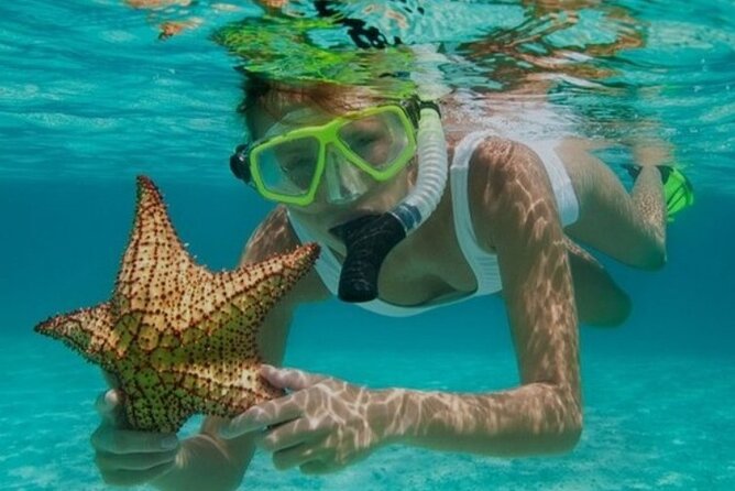 Snorkeling with Margaritaville and shops on Hipstrip activity - Key highlights worth planning around