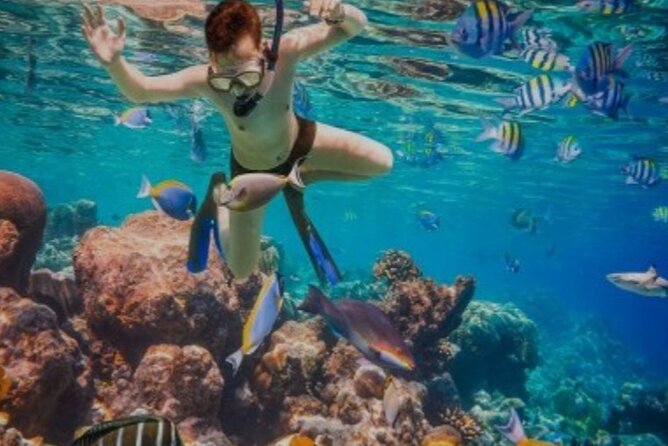 Snorkeling with Margaritaville and shops on Hipstrip activity - How the $39 price actually works for your time