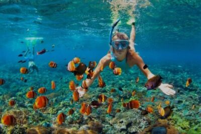 Snorkeling with Margaritaville and shops on Hipstrip activity - Snorkeling experience: what you should expect to see