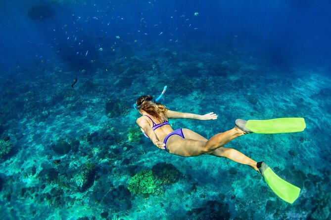 Sunset Catamaran cruise, Snorkeling and Rick's Cafe from Mobay - Snorkeling Off the Coast: Gear Included, Choose Your Comfort Level