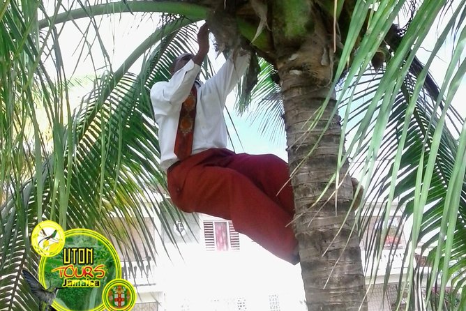 The AMAZING Montego Bay Tour - Why this tour is a smart use of cruise-day time