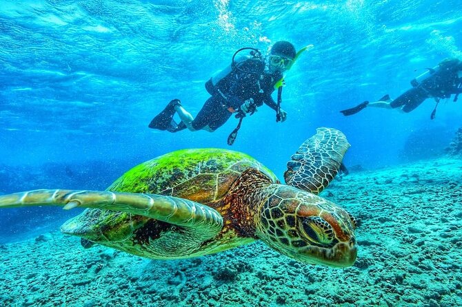 Two Tank Dive in Montego Bay w/Certified Divers - What the two-tank schedule actually means on your morning