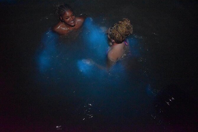 World famous Luminous lagoon Night tour with transportation - Safety and comfort: the stuff that lets you relax