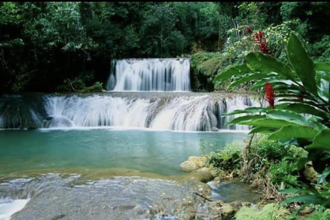 YS Falls and Appleton Estate Private Rum Tour - Lunch timing and what you should plan for