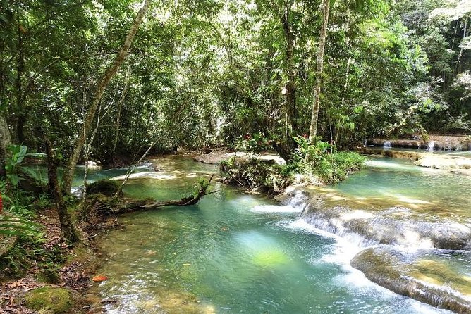 YS Falls and Appleton Estate Private Rum Tour - Private group touring: who it suits best