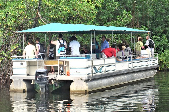 YS Falls and Black River Safari Guided Tour from Montego Bay and Grand Palladium - Hitting the South Coast From Montego Bay and Grand Palladium