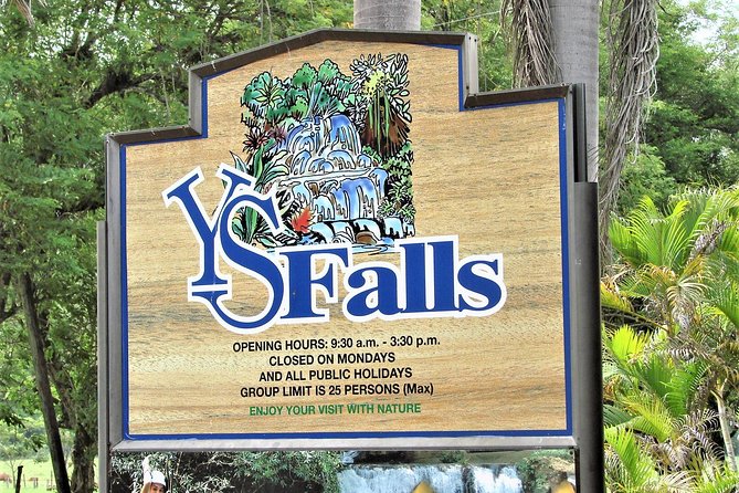 YS Falls and Black River Safari Guided Tour from Montego Bay and Grand Palladium - Lunch at the Riverside Dock Before the Black River Cruise